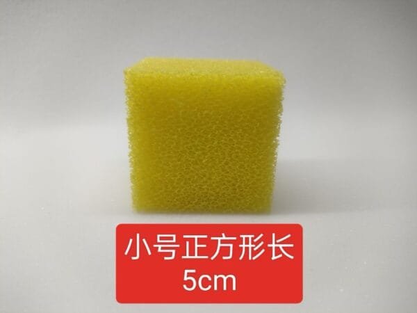 Machine wash shoe sponge