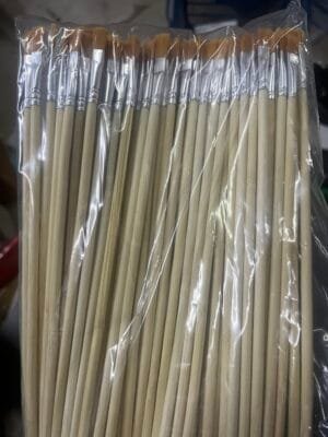 img_6925 No paint brush pen.100brushes